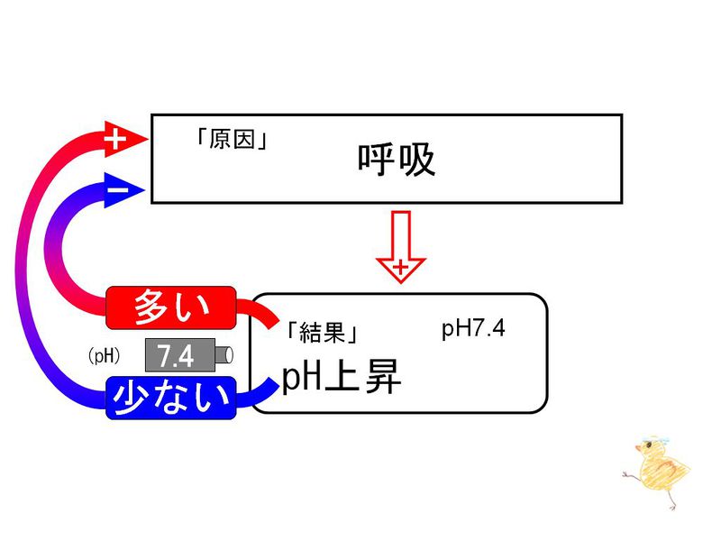 ファイル:02084.jpg