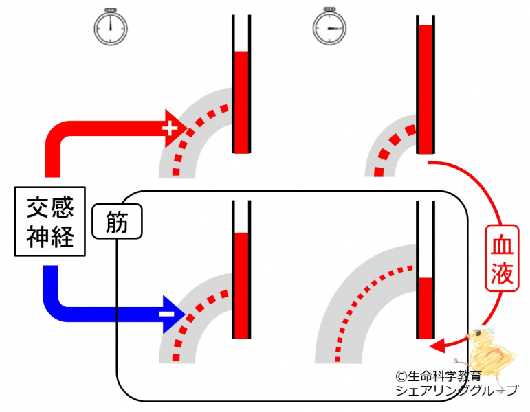 ファイル:02997.jpg