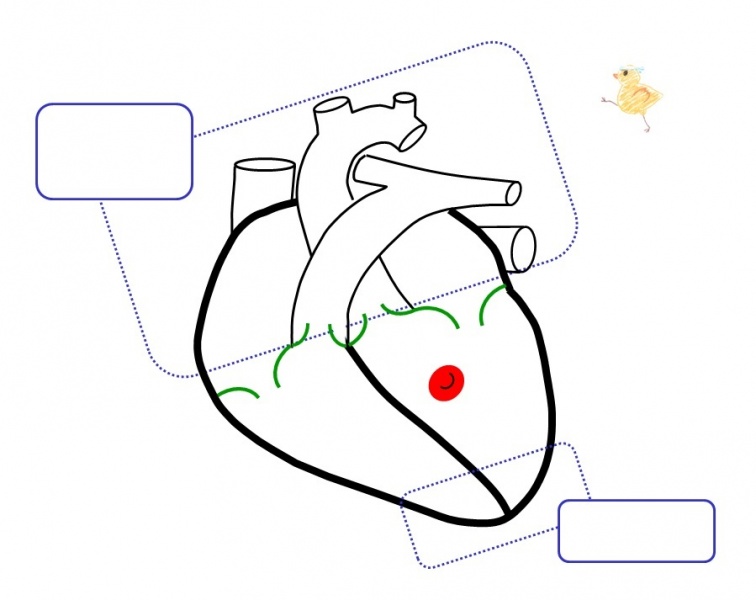 ファイル:03974-wb.jpg