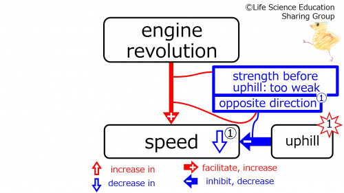 UphillBeforeMiddleFeedbacktoEngine-Eng.jpg