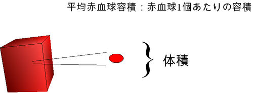 /wiki/images/thumb/c/c7/00414.jpg/500px-00414.jpg