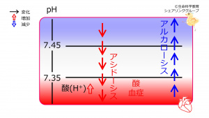 00648.jpg
