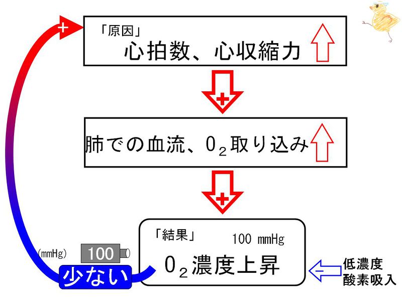ファイル:02119.jpg