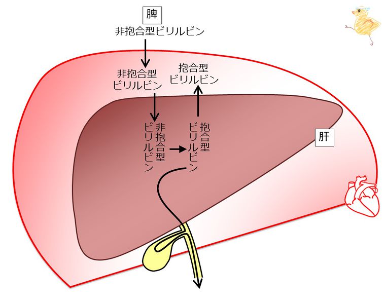 ファイル:03879.jpg