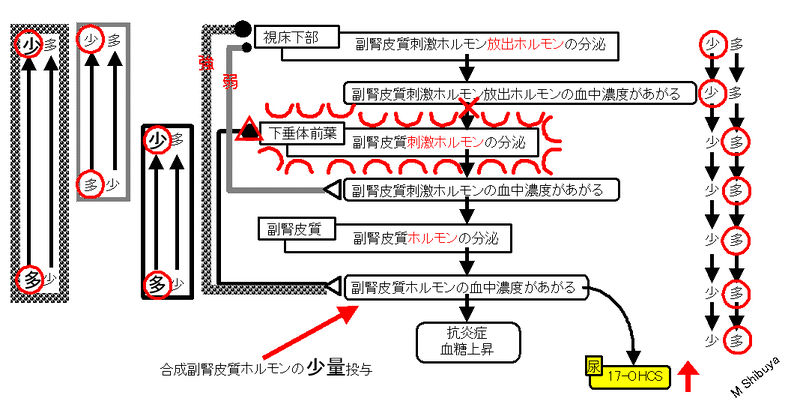 ファイル:00787.jpg