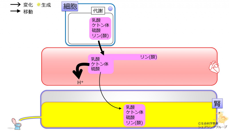 ファイル:03814-wb.jpg