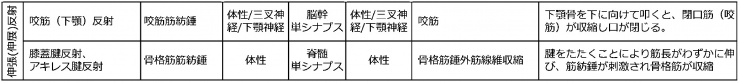 伸張反射.jpg