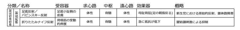 ファイル:病的反射.jpg