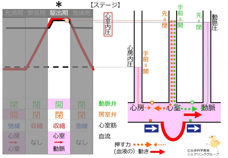 ファイル:駆出期-wb.jpg