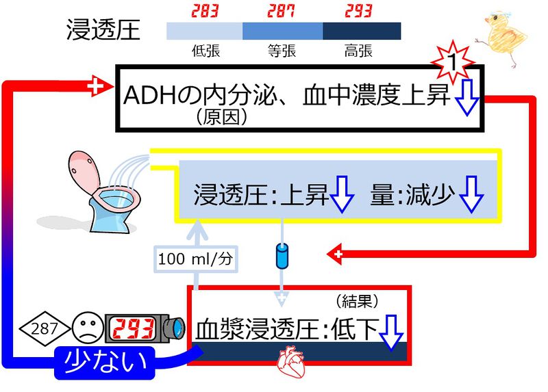 ファイル:04014.jpg
