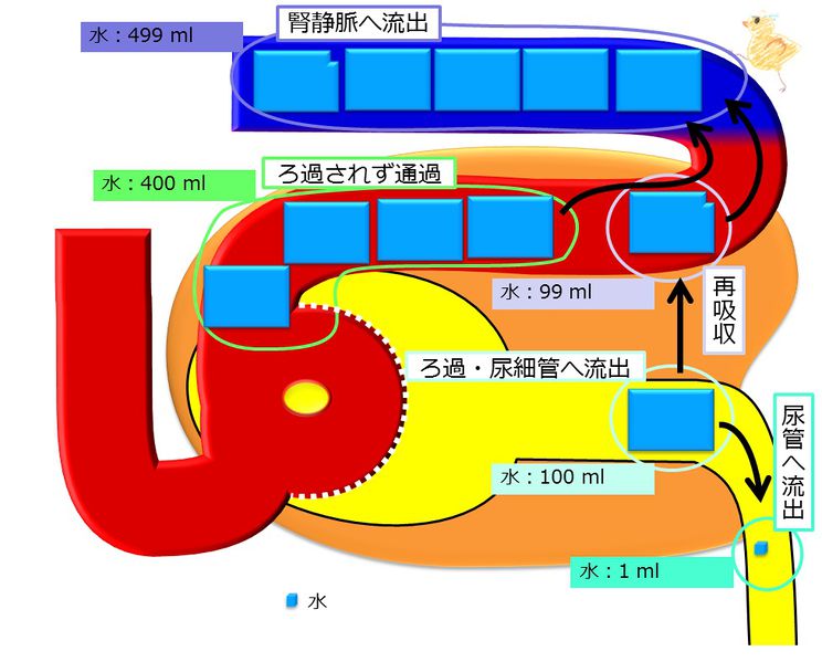 ファイル:04317.jpg