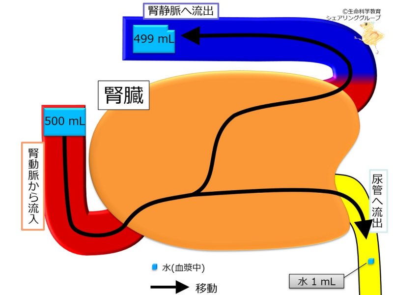 ファイル:04324.jpg