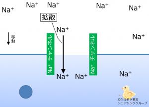 /wiki/images/thumb/c/ca/Nachannel_diffusion_ja.jpg/300px-Nachannel_diffusion_ja.jpg