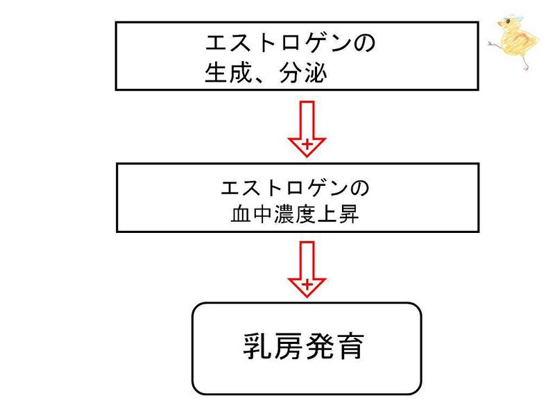 ファイル:00587.jpg