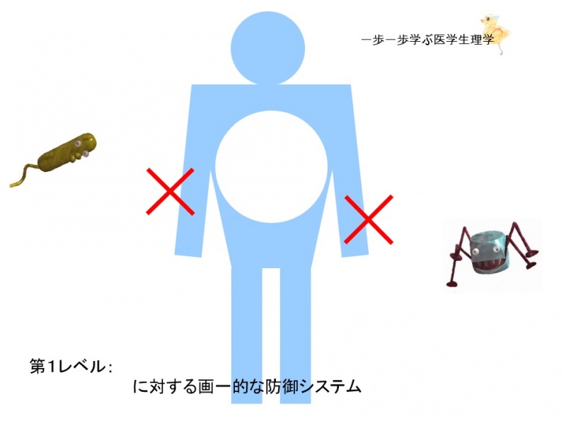 ファイル:01639-wb.jpg