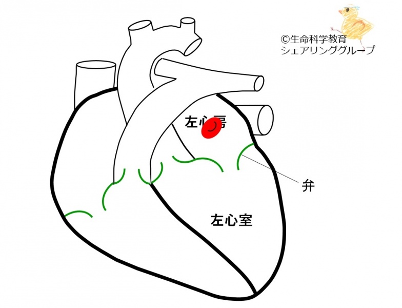 ファイル:01723-wb.jpg