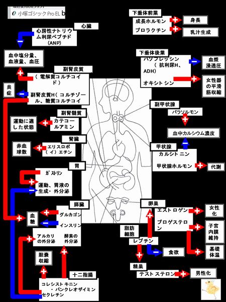 ファイル:03550.jpg
