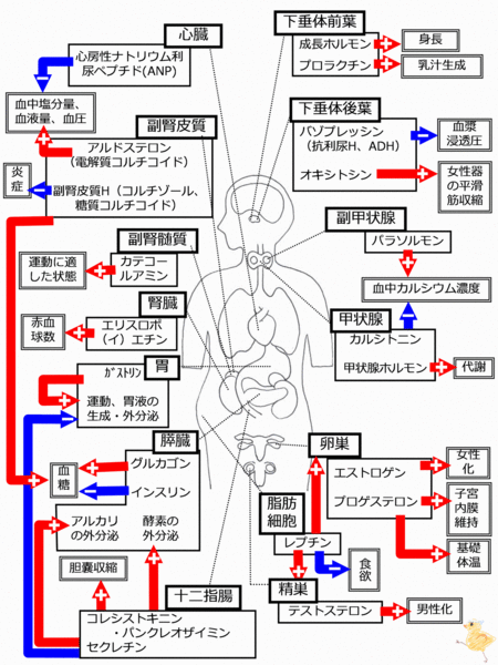 ファイル:03571.gif