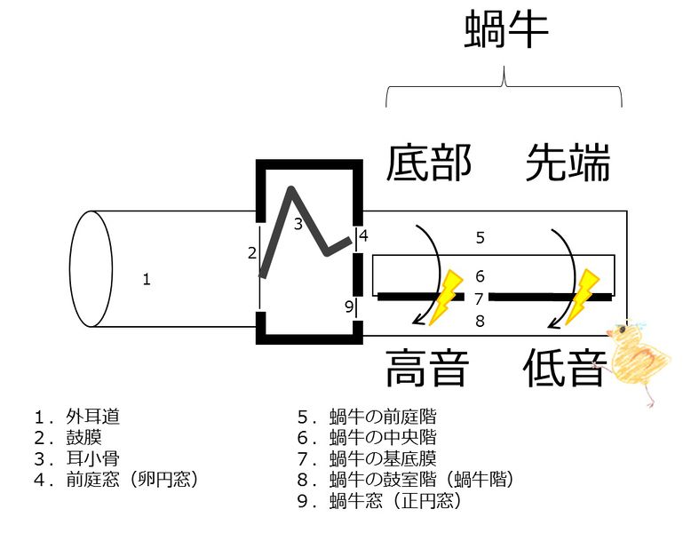 ファイル:04221.jpg