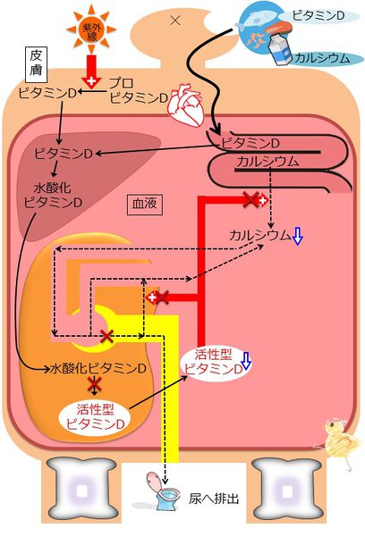 ファイル:04403.jpg