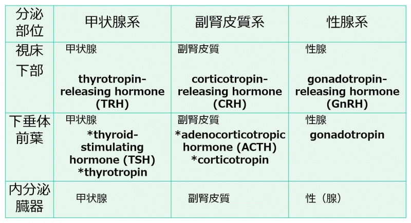 ファイル:04648-wb.jpg