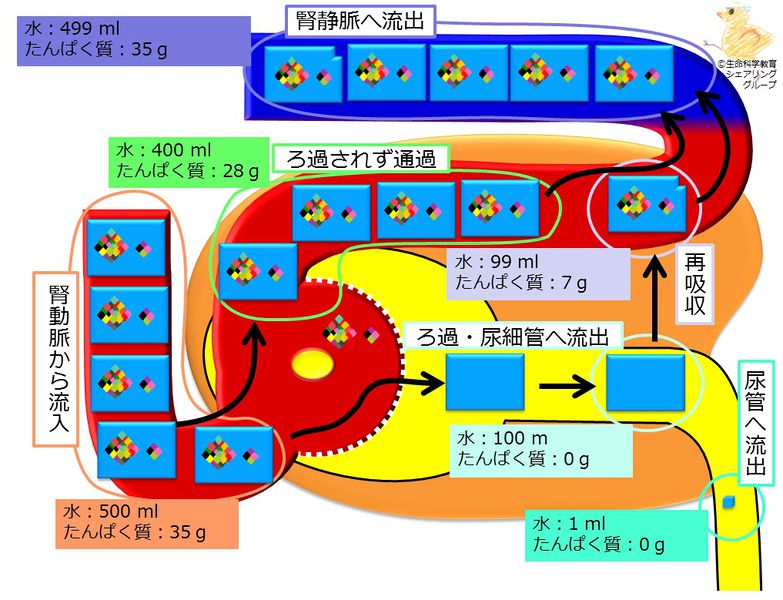ファイル:4687.jpg