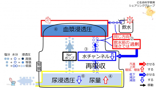 6-waterChannel-control2-2020.jpg