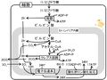 03412.jpg