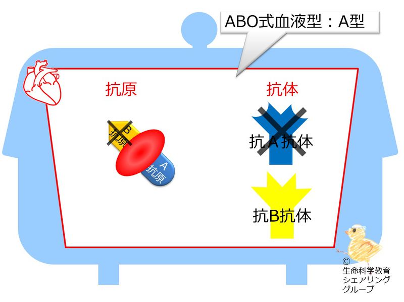ファイル:04550.jpg