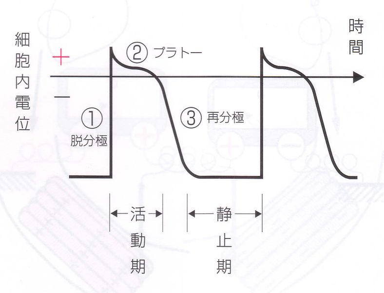 ファイル:00904.jpg