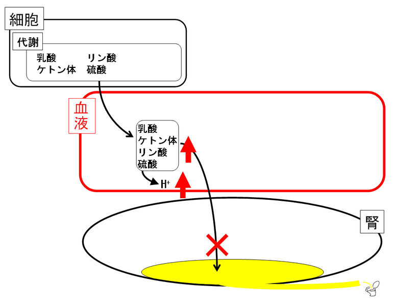 ファイル:01075.jpg