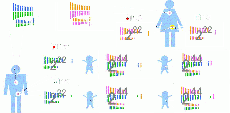 ファイル:01170-wb.gif