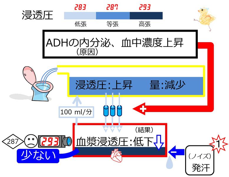 ファイル:03999.jpg