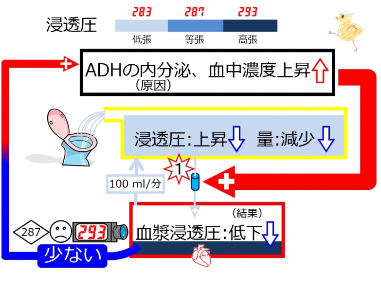 ファイル:04015.jpg