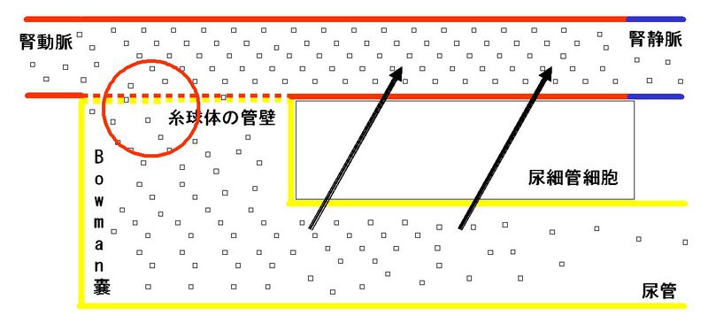 ファイル:00280.jpg