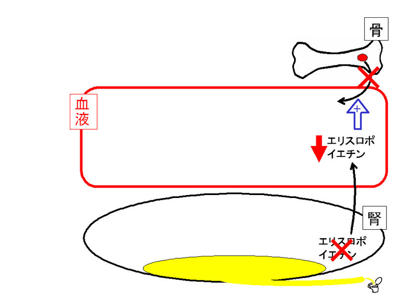 ファイル:01344.jpg