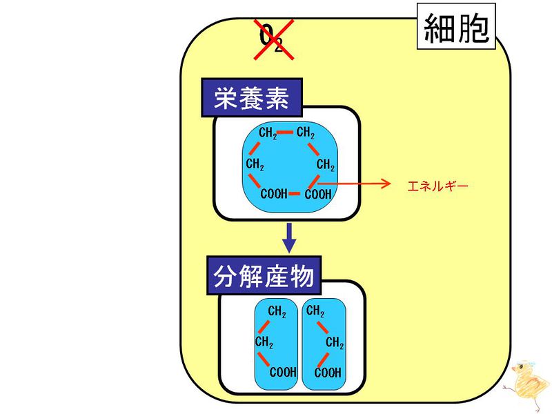 ファイル:01988.jpg