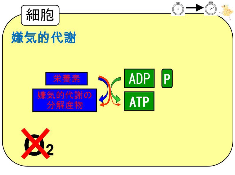 ファイル:03377.jpg