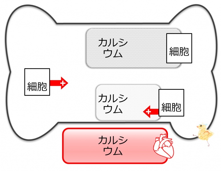 ファイル:04056-wb.jpg