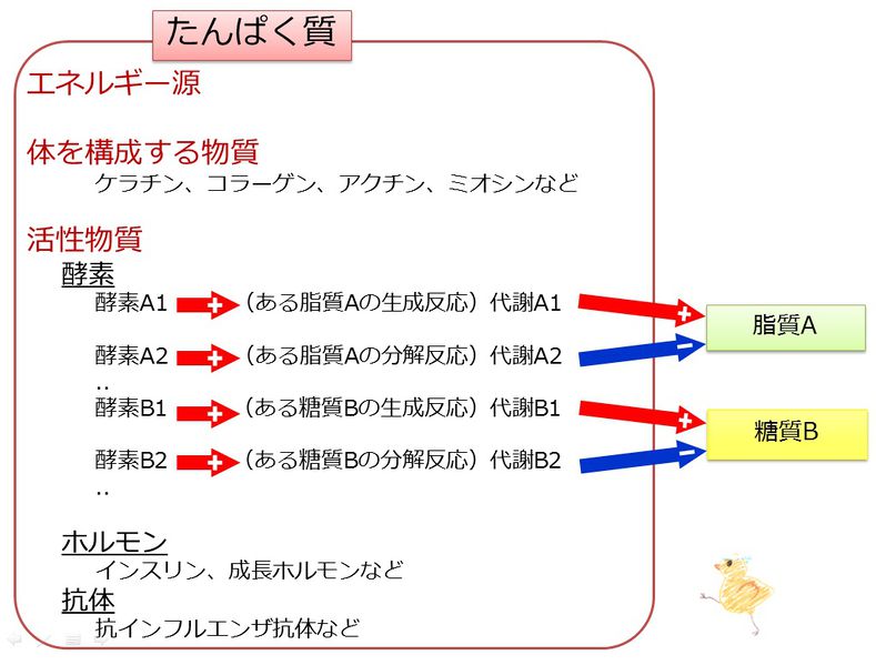 ファイル:04086.jpg