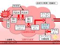 2013年4月10日 (水) 11:01時点における版のサムネイル