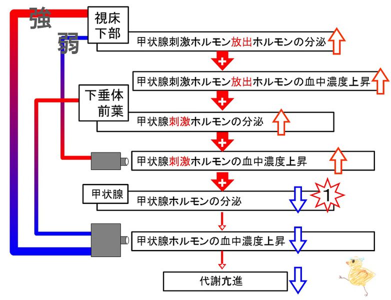 ファイル:03411.jpg