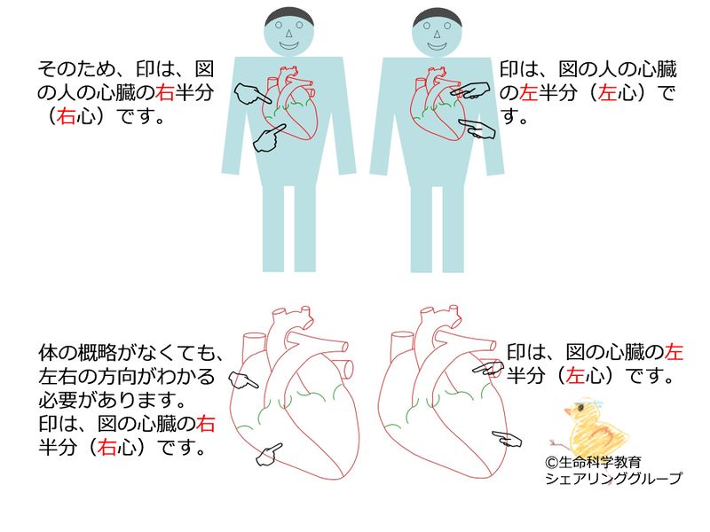 ファイル:04615.jpg