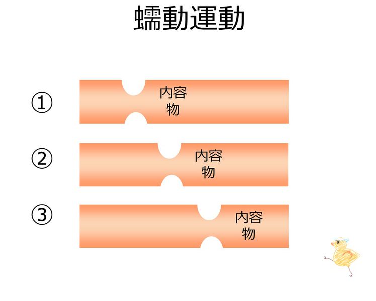 ファイル:03977.jpg
