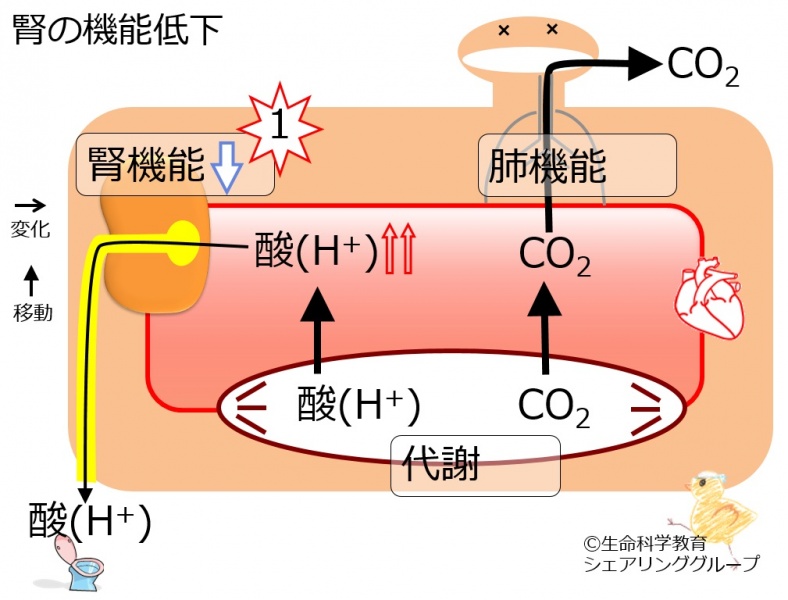ファイル:04380.jpg