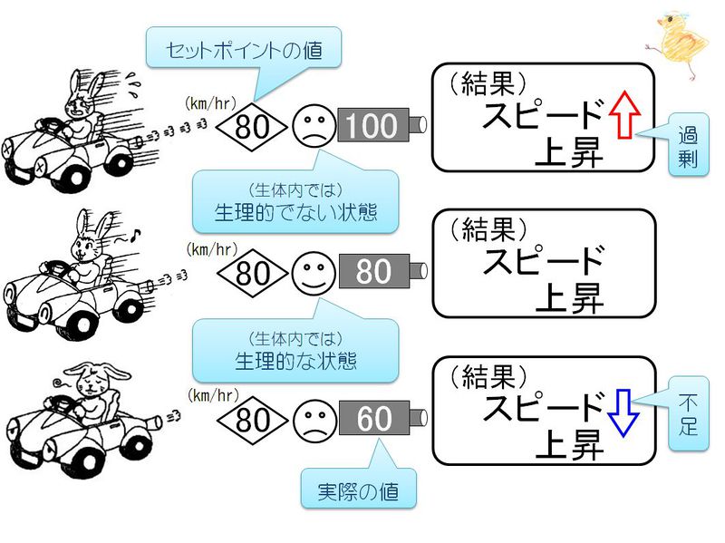 ファイル:03331.jpg