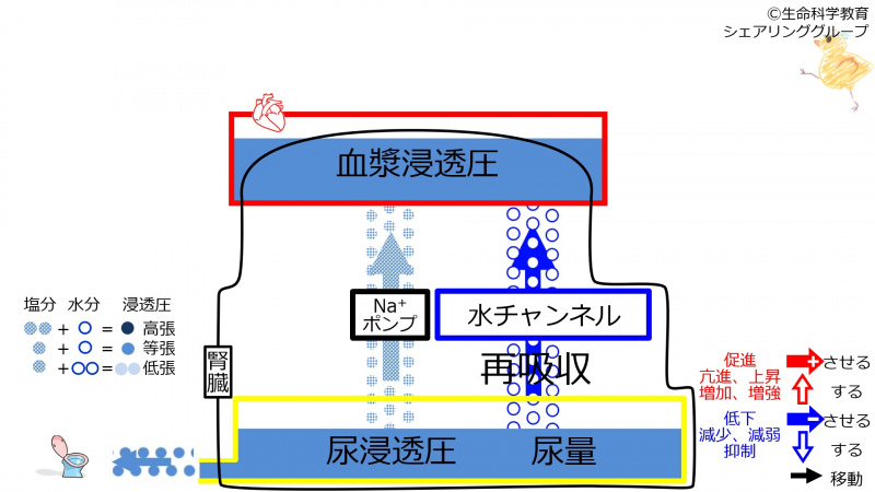 ファイル:6-incChannel-sweatingeffect1.jpg
