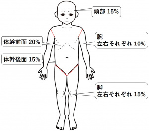 図-皮膚爪-視診1-5の法則小児の場合.jpg