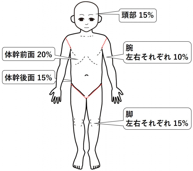 ファイル:図-皮膚爪-視診1-5の法則小児の場合.jpg