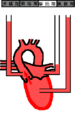 00887.gif